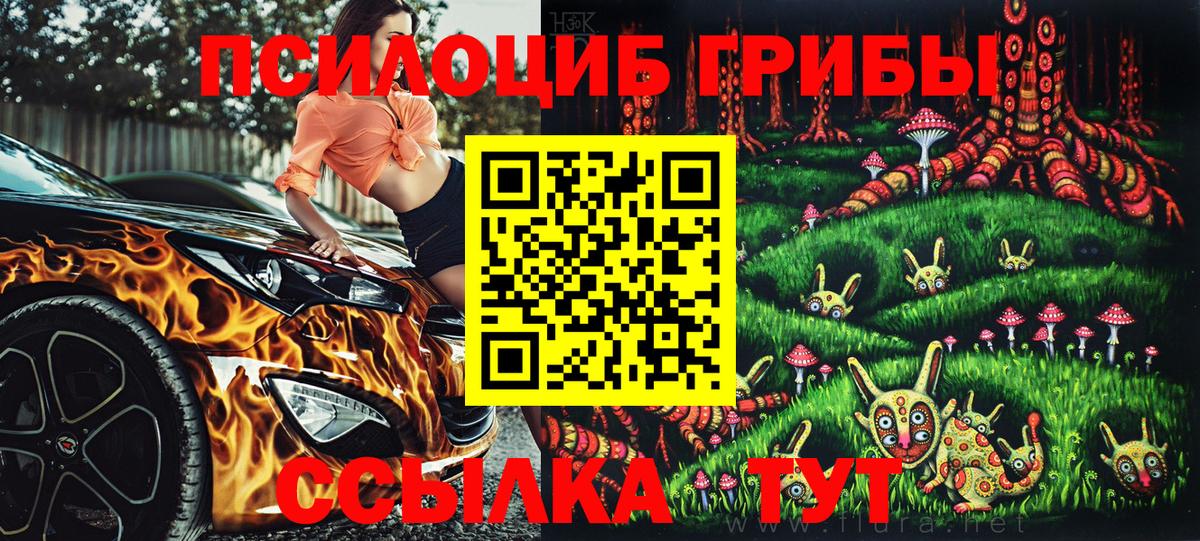 Новокубанск  продажа наркотиков  Псилоцибиновые грибы Psilocybine cubensis  Вход с VPN  Псилоцибиновые грибы ЛСД 