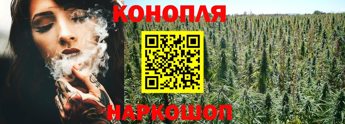 Шишки марихуана ГИДРОПОН Новокубанск